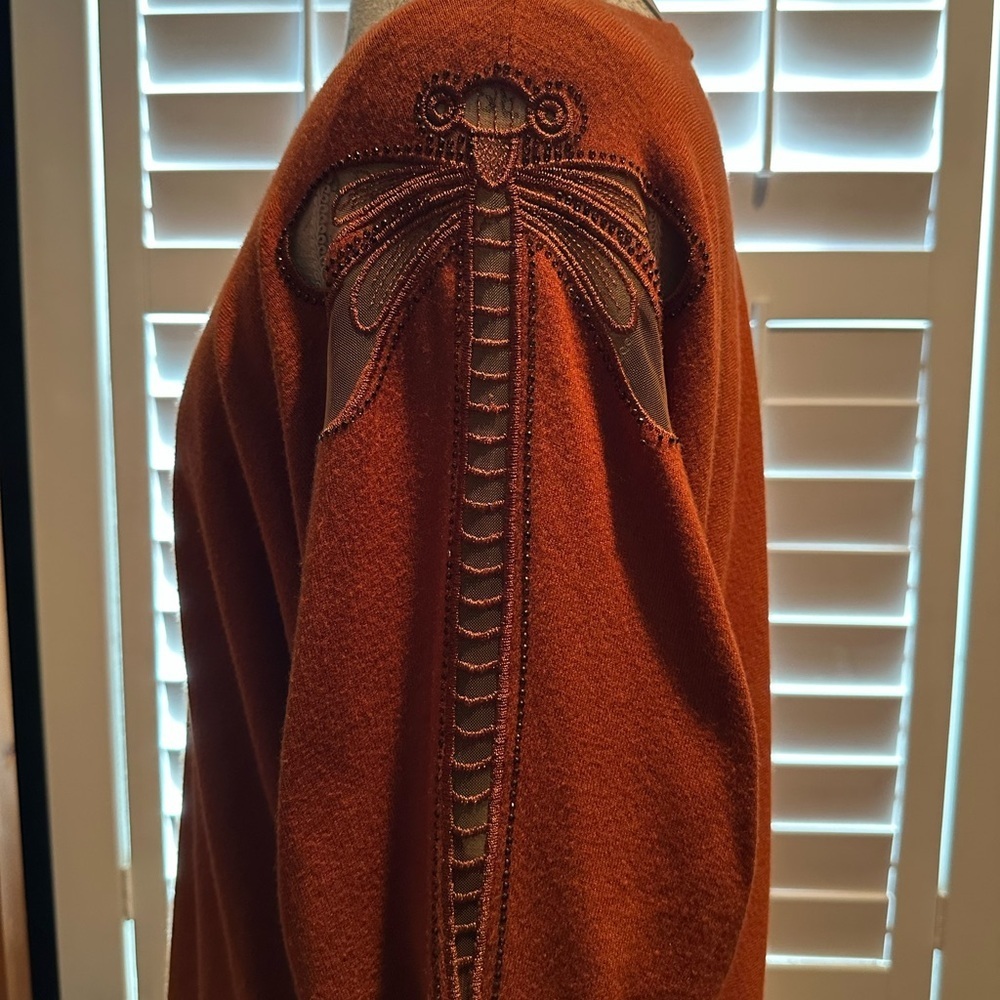 LIV Rust Sweater with Dragonfly Embroidery